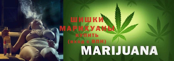 apvp Арсеньев